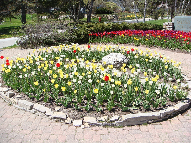 184 Memorial Day [2008 May 23].JPG - Scenes from Mackinac Island.